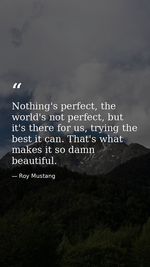 Nothing's perfect, the world's not perfect, but it's there for us, trying the best it can. That's what makes it so damn  — Roy Mustang