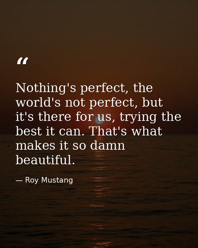 Nothing's perfect, the world's not perfect, but it's there for us, trying the best it can. That's what makes it so damn  — Roy Mustang
