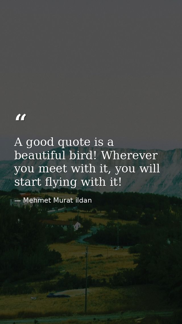 A good quote is a beautiful bird! Wherever you meet with it, you will start flying with it! — Mehmet Murat ildan