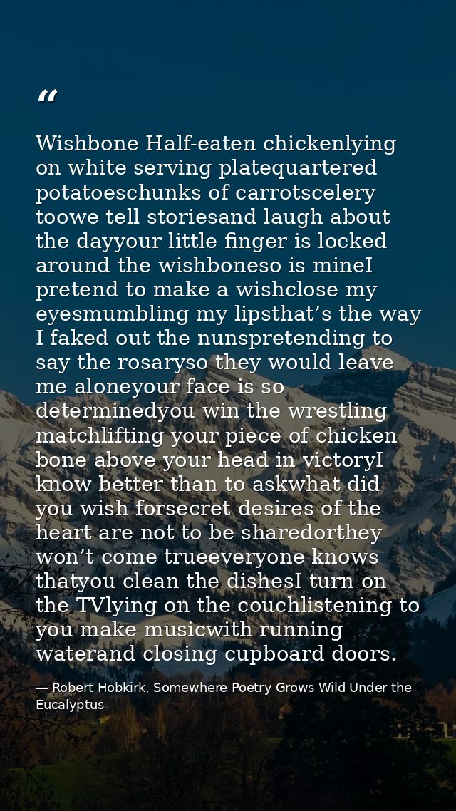Wishbone Half-eaten chickenlying on white serving platequartered potatoeschunks of carrotscelery toowe tell storiesand l — Robert Hobkirk, Somewhere Poetry Grows Wild Under the Eucalyptus