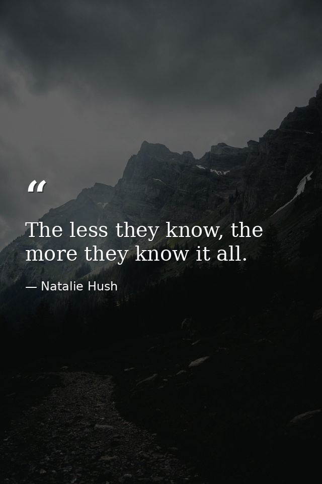 The less they know, the more they know it all. — Natalie Hush