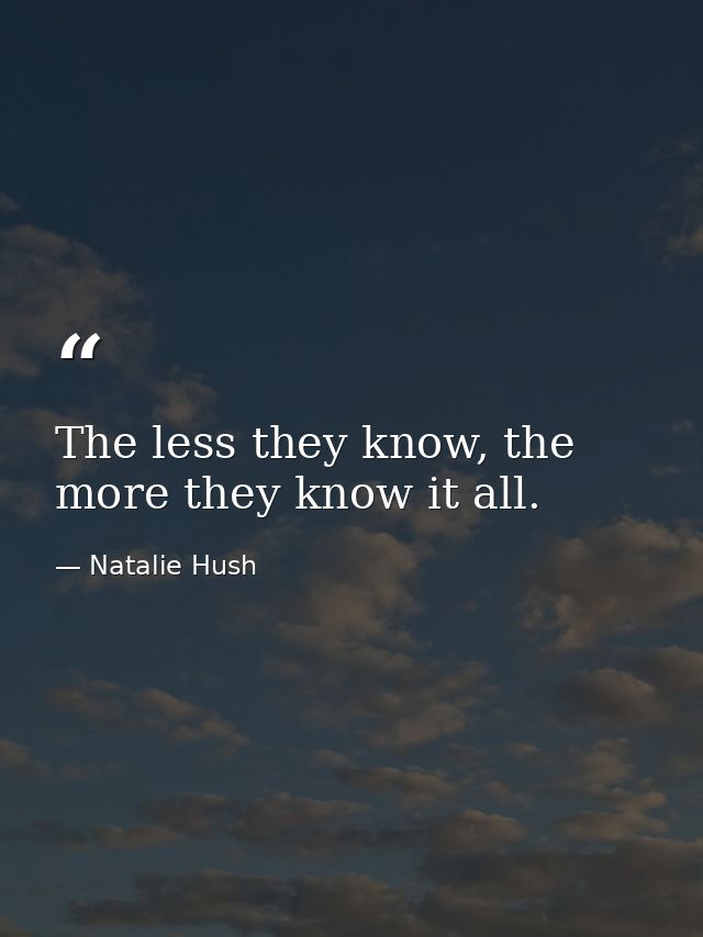 The less they know, the more they know it all. — Natalie Hush