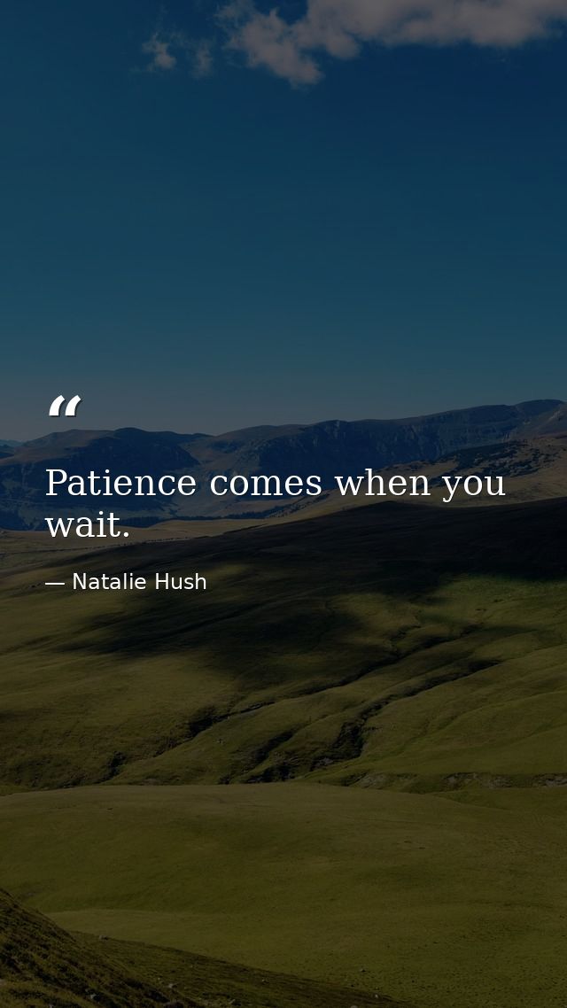 Patience comes when you wait. — Natalie Hush
