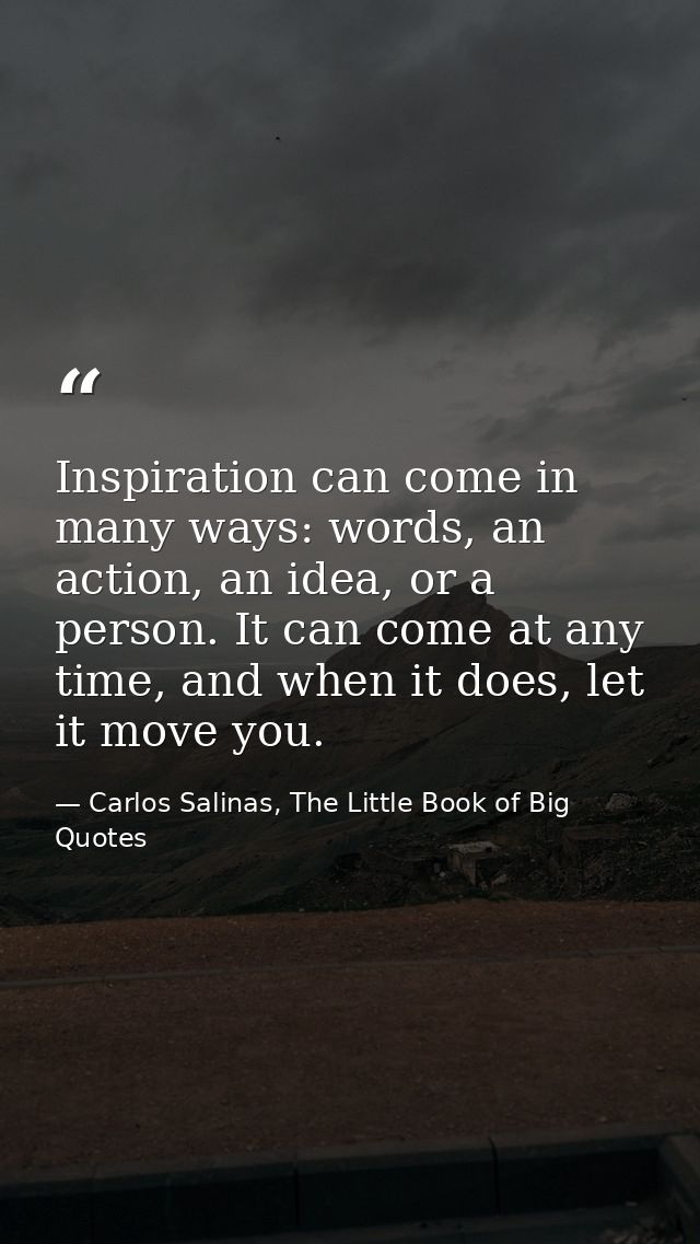 Inspiration can come in many ways: words, an action, an idea, or a person. It can come at any time, and when it does, le — Carlos Salinas, The Little Book of Big Quotes