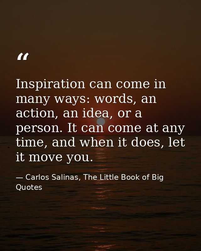 Inspiration can come in many ways: words, an action, an idea, or a person. It can come at any time, and when it does, le — Carlos Salinas, The Little Book of Big Quotes