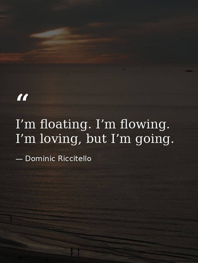 I’m floating. I’m flowing. I’m loving, but I’m going. — Dominic Riccitello