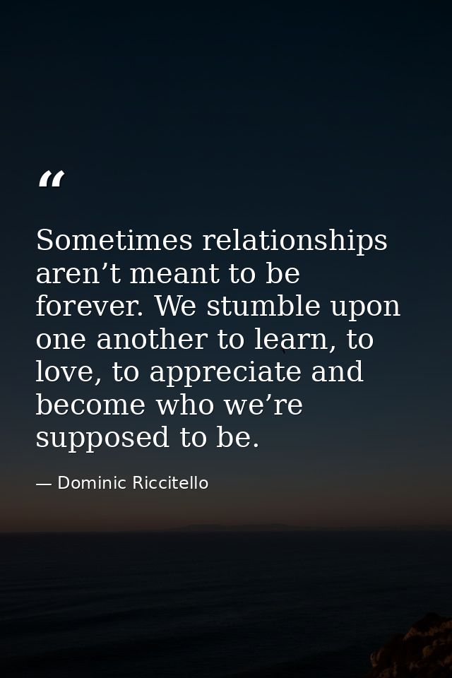 Sometimes relationships aren’t meant to be forever. We stumble upon one another to learn, to love, to appreciate and bec — Dominic Riccitello