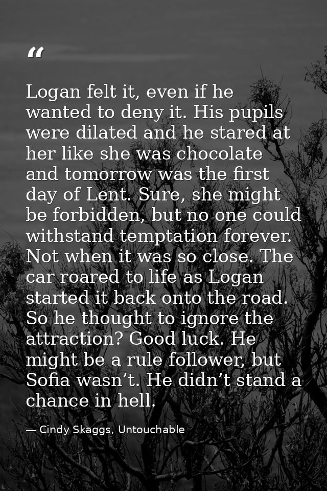 Logan felt it, even if he wanted to deny it. His pupils were dilated and he stared at her like she was chocolate and tom — Cindy Skaggs, Untouchable