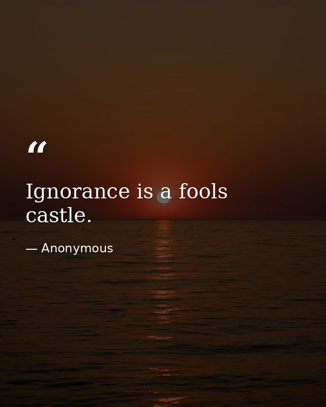 Ignorance is a fools castle. — Anonymous