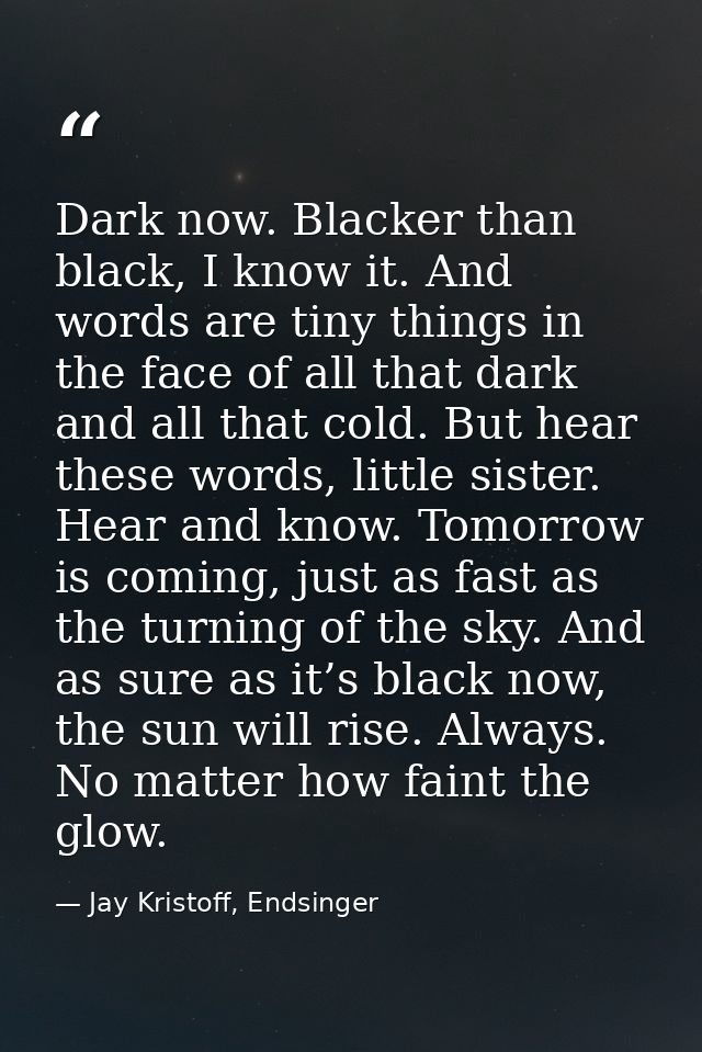 Dark now. Blacker than black, I know it. And words are tiny things in the face of all that dark and all that cold. But h — Jay Kristoff, Endsinger