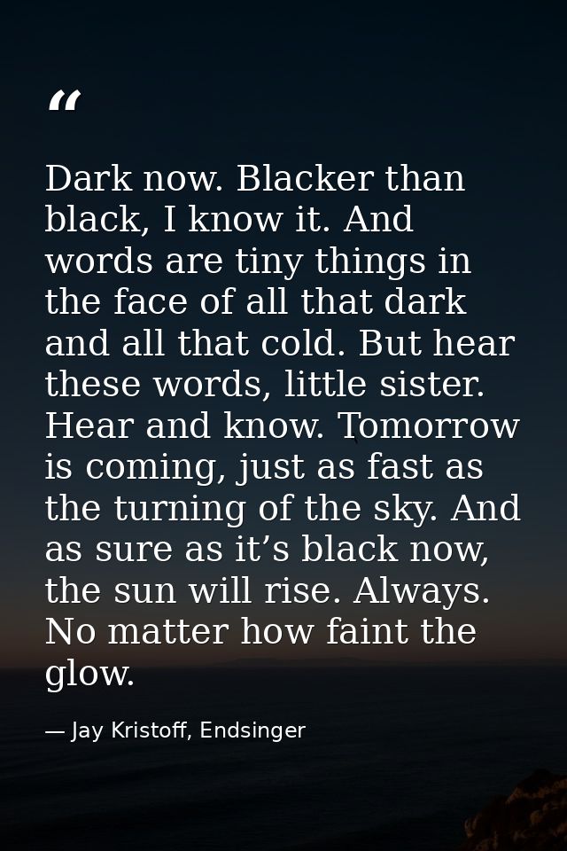 Dark now. Blacker than black, I know it. And words are tiny things in the face of all that dark and all that cold. But h — Jay Kristoff, Endsinger