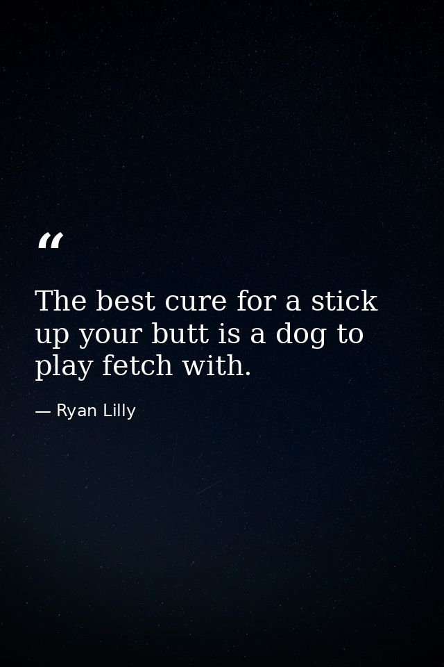 The best cure for a stick up your butt is a dog to play fetch with. — Ryan Lilly