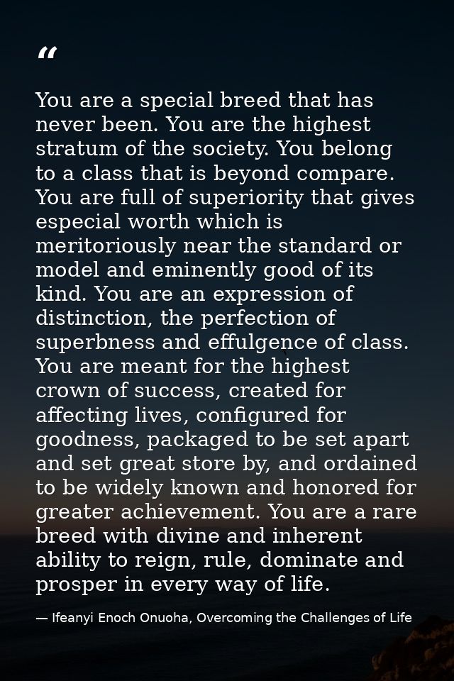 You are a special breed that has never been. You are the highest stratum of the society. You belong to a class that is b — Ifeanyi Enoch Onuoha, Overcoming the Challenges of Life