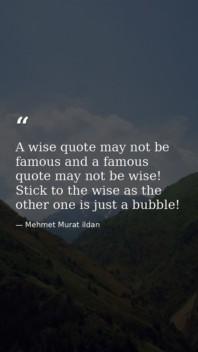 A wise quote may not be famous and a famous quote may not be wise! Stick to the wise as the other one is just a bubble! — Mehmet Murat ildan