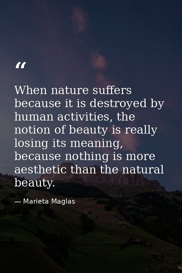 When nature suffers because it is destroyed by human activities, the notion of beauty is really losing its meaning, beca — Marieta Maglas