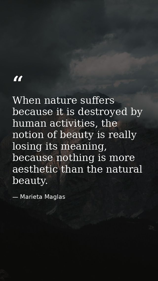 When nature suffers because it is destroyed by human activities, the notion of beauty is really losing its meaning, beca — Marieta Maglas