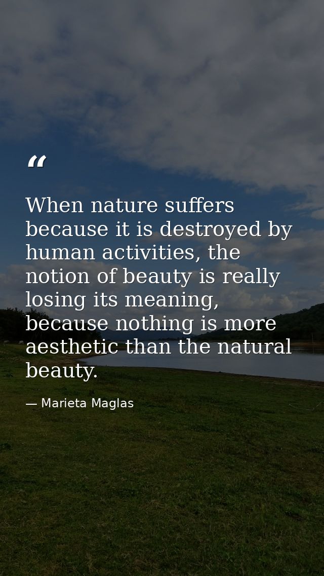When nature suffers because it is destroyed by human activities, the notion of beauty is really losing its meaning, beca — Marieta Maglas