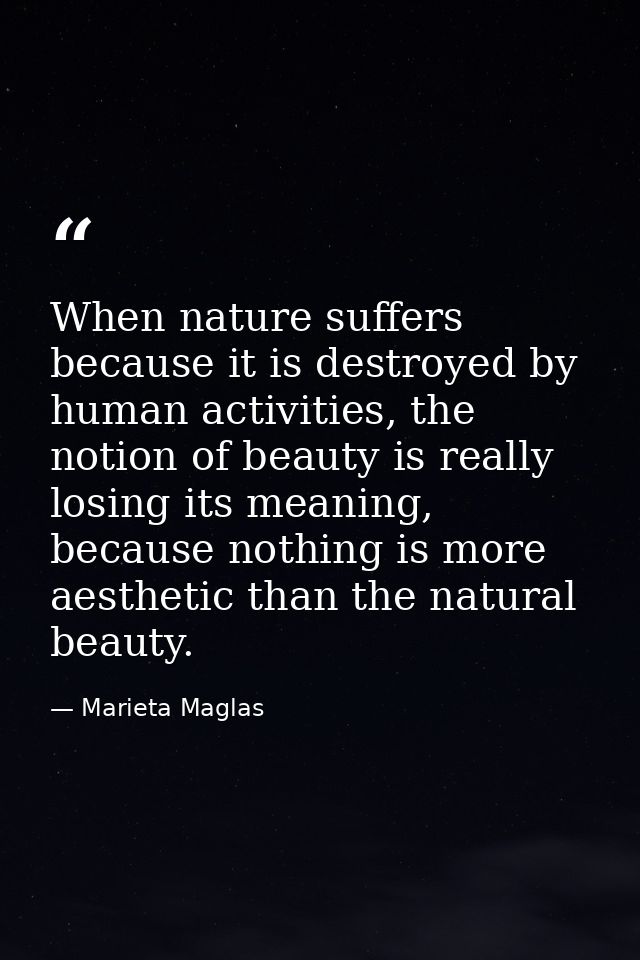 When nature suffers because it is destroyed by human activities, the notion of beauty is really losing its meaning, beca — Marieta Maglas