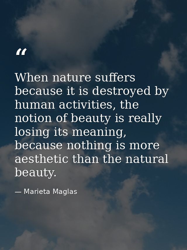 When nature suffers because it is destroyed by human activities, the notion of beauty is really losing its meaning, beca — Marieta Maglas