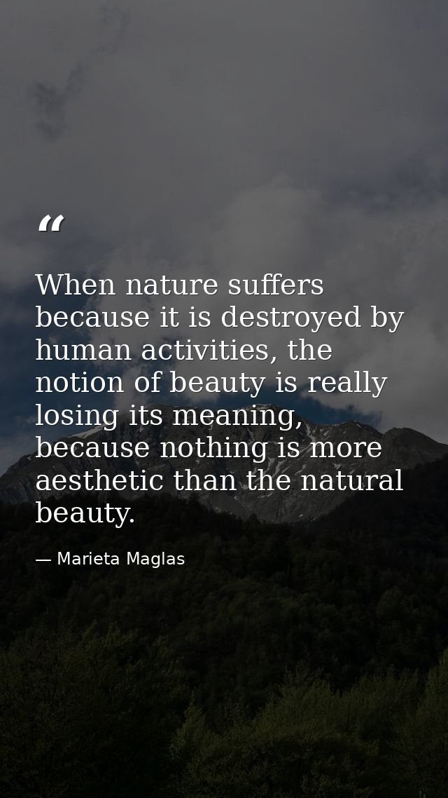 When nature suffers because it is destroyed by human activities, the notion of beauty is really losing its meaning, beca — Marieta Maglas