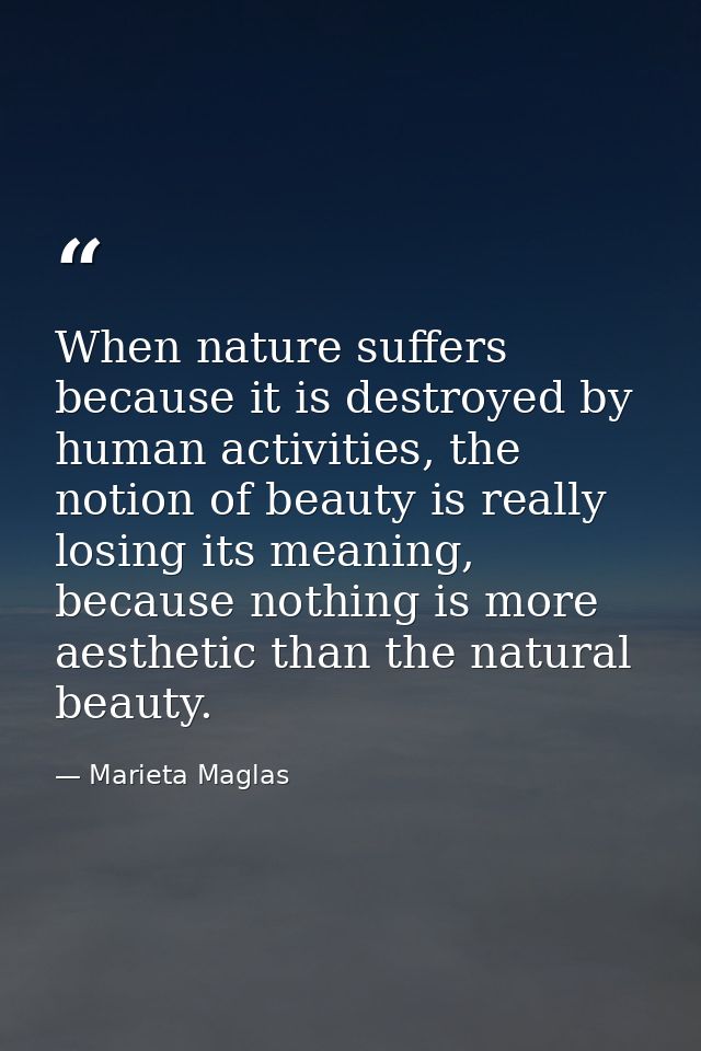 When nature suffers because it is destroyed by human activities, the notion of beauty is really losing its meaning, beca — Marieta Maglas