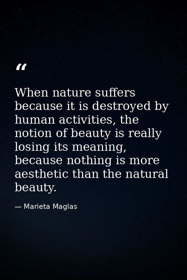 When nature suffers because it is destroyed by human activities, the notion of beauty is really losing its meaning, beca — Marieta Maglas