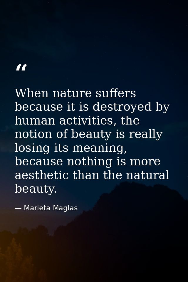 When nature suffers because it is destroyed by human activities, the notion of beauty is really losing its meaning, beca — Marieta Maglas