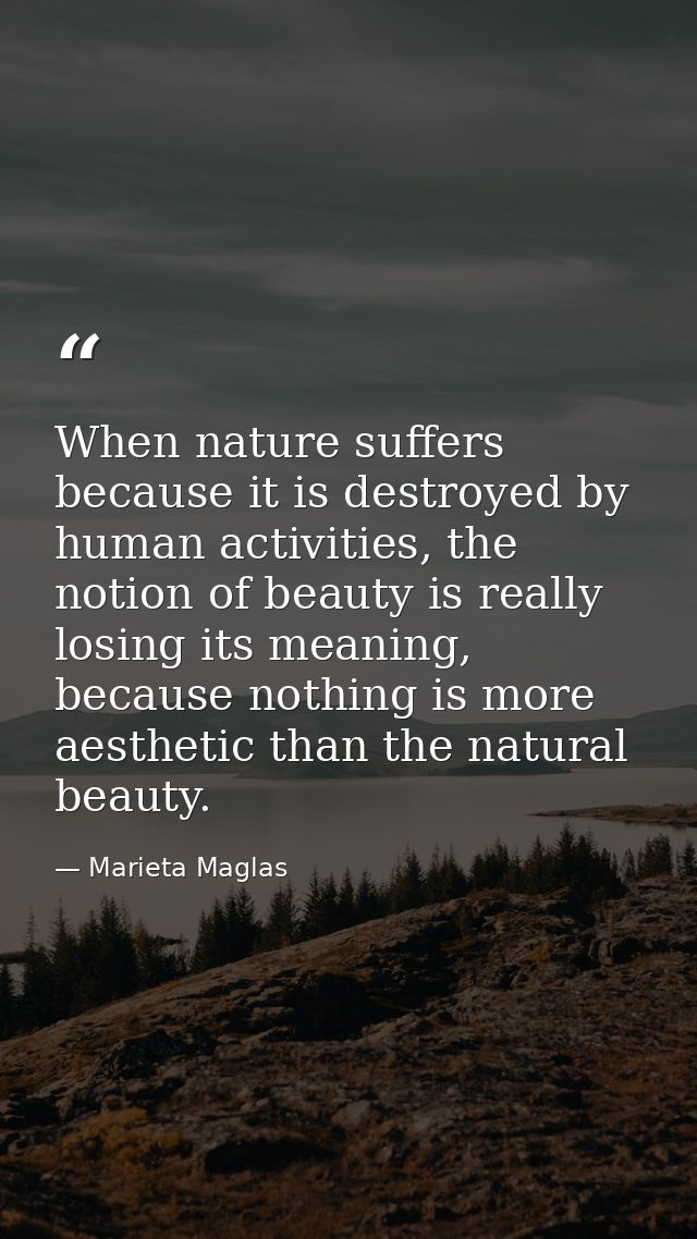 When nature suffers because it is destroyed by human activities, the notion of beauty is really losing its meaning, beca — Marieta Maglas