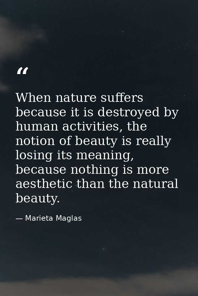 When nature suffers because it is destroyed by human activities, the notion of beauty is really losing its meaning, beca — Marieta Maglas
