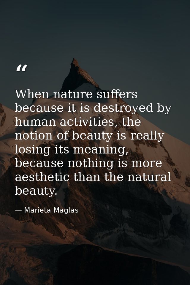 When nature suffers because it is destroyed by human activities, the notion of beauty is really losing its meaning, beca — Marieta Maglas
