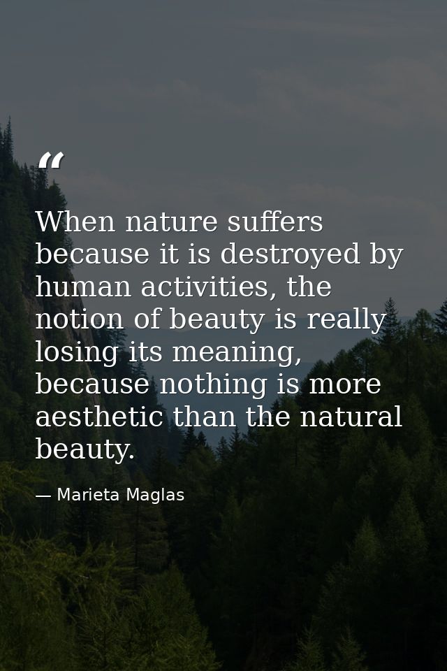 When nature suffers because it is destroyed by human activities, the notion of beauty is really losing its meaning, beca — Marieta Maglas