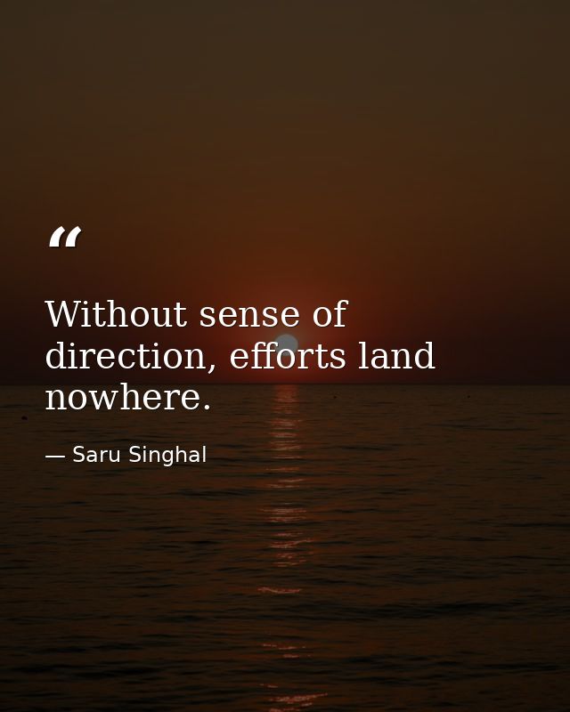 Without sense of direction, efforts land nowhere. — Saru Singhal