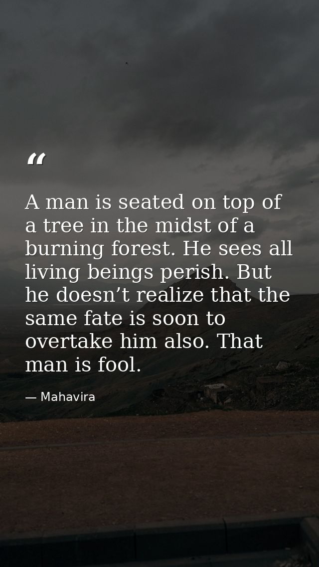 A man is seated on top of a tree in the midst of a burning forest. He sees all living beings perish. But he doesn’t real — Mahavira