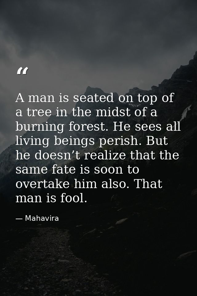 A man is seated on top of a tree in the midst of a burning forest. He sees all living beings perish. But he doesn’t real — Mahavira