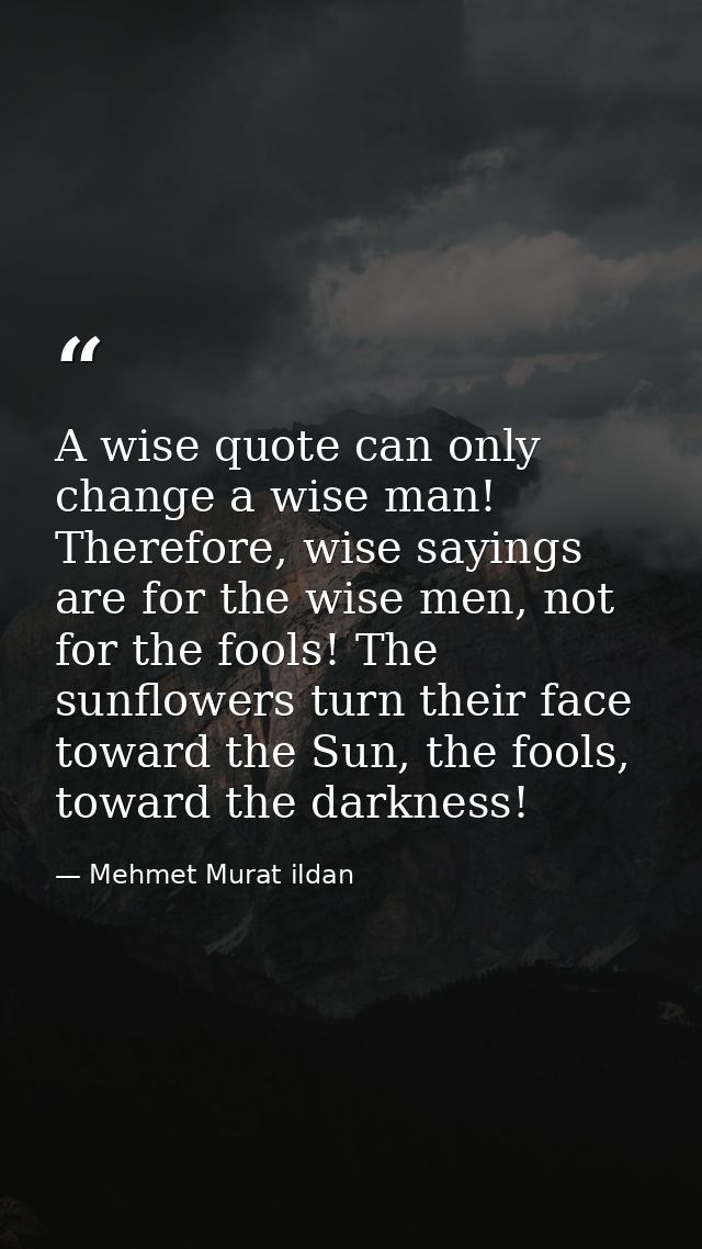 A wise quote can only change a wise man! Therefore, wise sayings are for the wise men, not for the fools! The sunflowers — Mehmet Murat ildan
