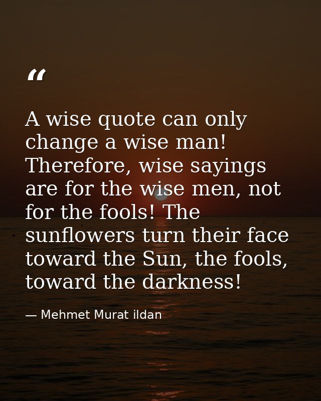 A wise quote can only change a wise man! Therefore, wise sayings are for the wise men, not for the fools! The sunflowers — Mehmet Murat ildan