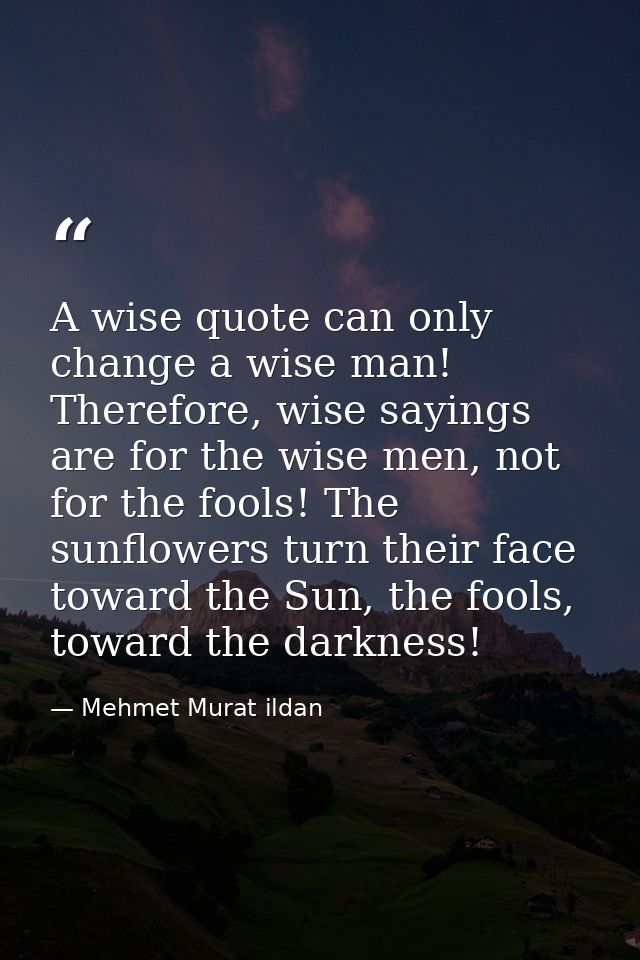 A wise quote can only change a wise man! Therefore, wise sayings are for the wise men, not for the fools! The sunflowers — Mehmet Murat ildan