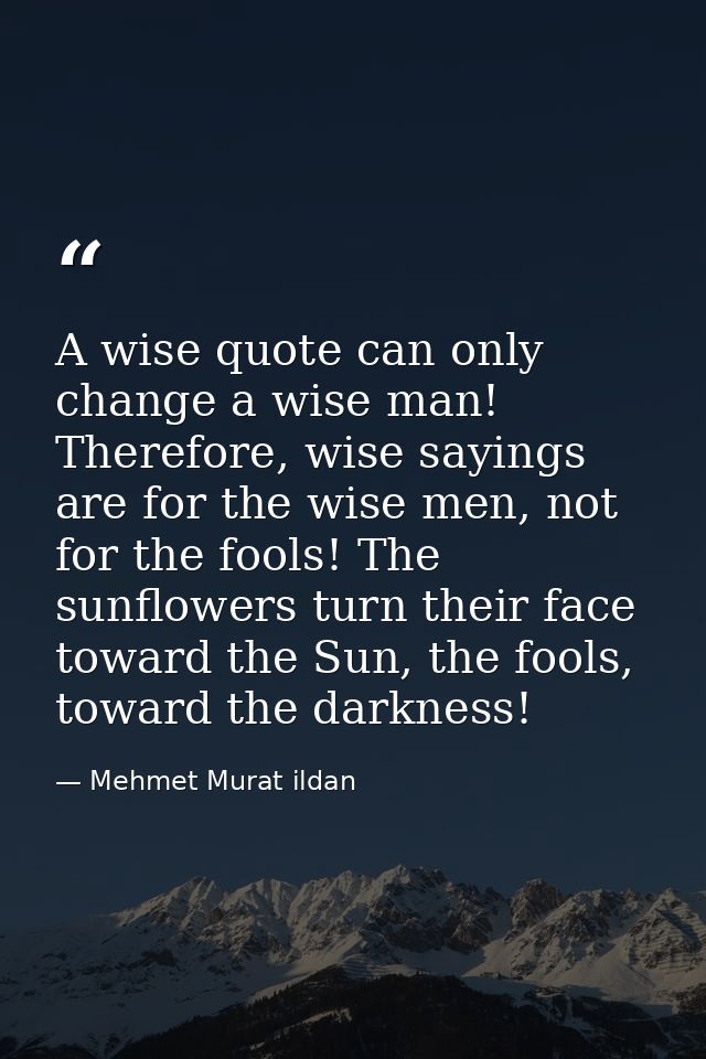 A wise quote can only change a wise man! Therefore, wise sayings are for the wise men, not for the fools! The sunflowers — Mehmet Murat ildan