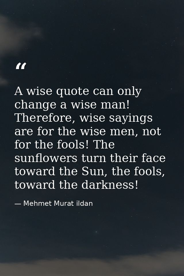 A wise quote can only change a wise man! Therefore, wise sayings are for the wise men, not for the fools! The sunflowers — Mehmet Murat ildan