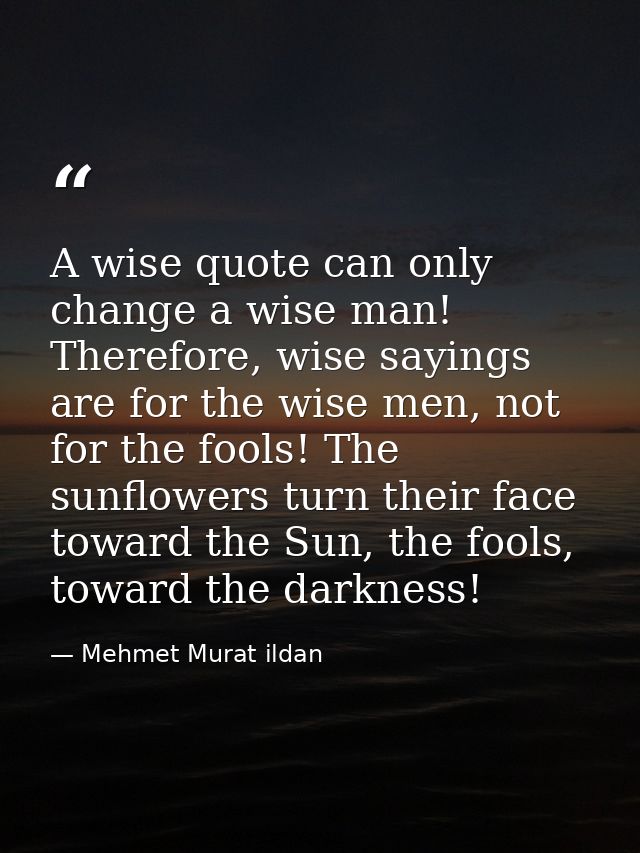 A wise quote can only change a wise man! Therefore, wise sayings are for the wise men, not for the fools! The sunflowers — Mehmet Murat ildan