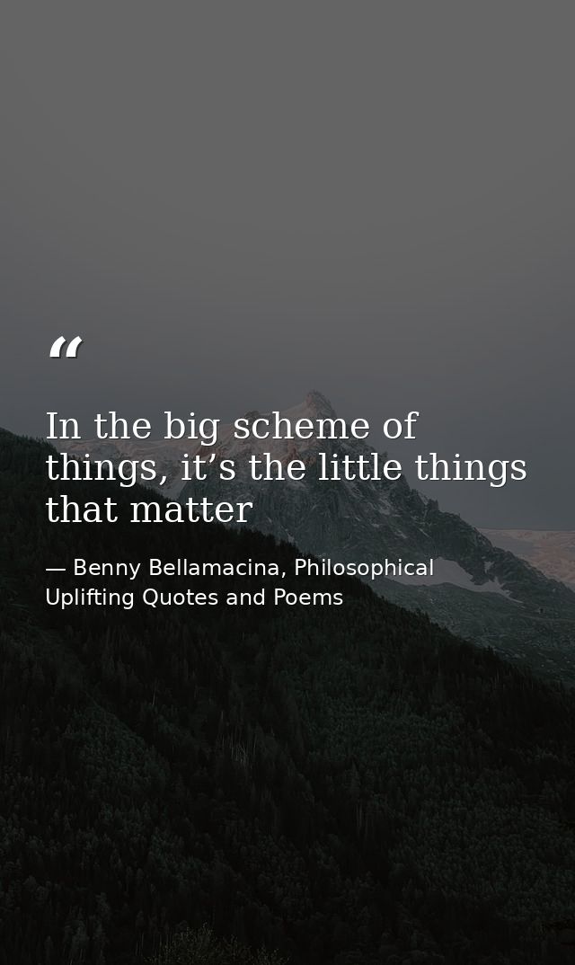 In the big scheme of things, it’s the little things that matter — Benny Bellamacina, Philosophical Uplifting Quotes and Poems