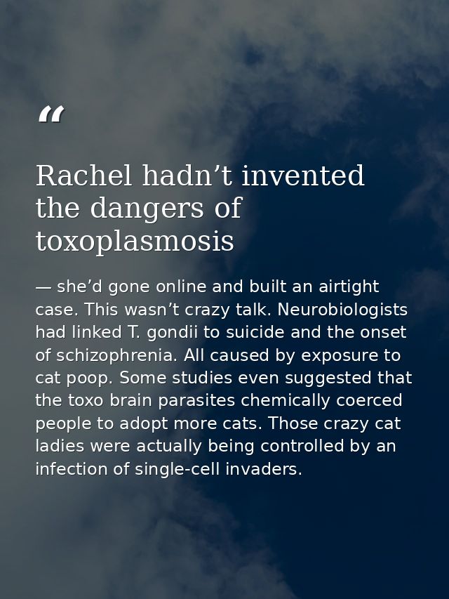 Rachel hadn’t invented the dangers of toxoplasmosis — she’d gone online and built an airtight case. This wasn’t crazy talk. Neurobiologists had linked T. gondii to suicide and the onset of schizophrenia. All caused by exposure to cat poop. Some studies even suggested that the toxo brain parasites chemically coerced people to adopt more cats. Those crazy cat ladies were actually being controlled by an infection of single-cell invaders.