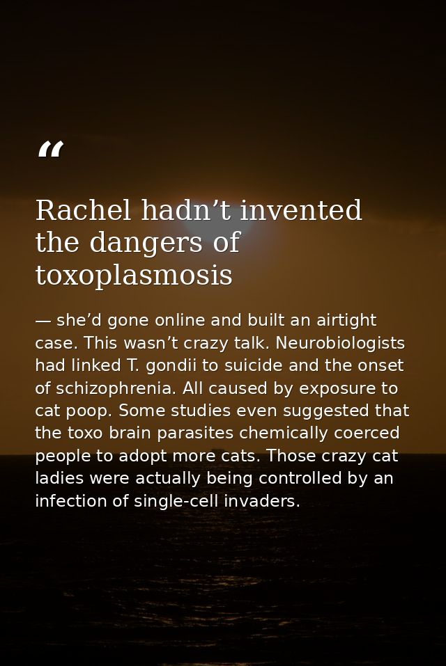 Rachel hadn’t invented the dangers of toxoplasmosis — she’d gone online and built an airtight case. This wasn’t crazy talk. Neurobiologists had linked T. gondii to suicide and the onset of schizophrenia. All caused by exposure to cat poop. Some studies even suggested that the toxo brain parasites chemically coerced people to adopt more cats. Those crazy cat ladies were actually being controlled by an infection of single-cell invaders.