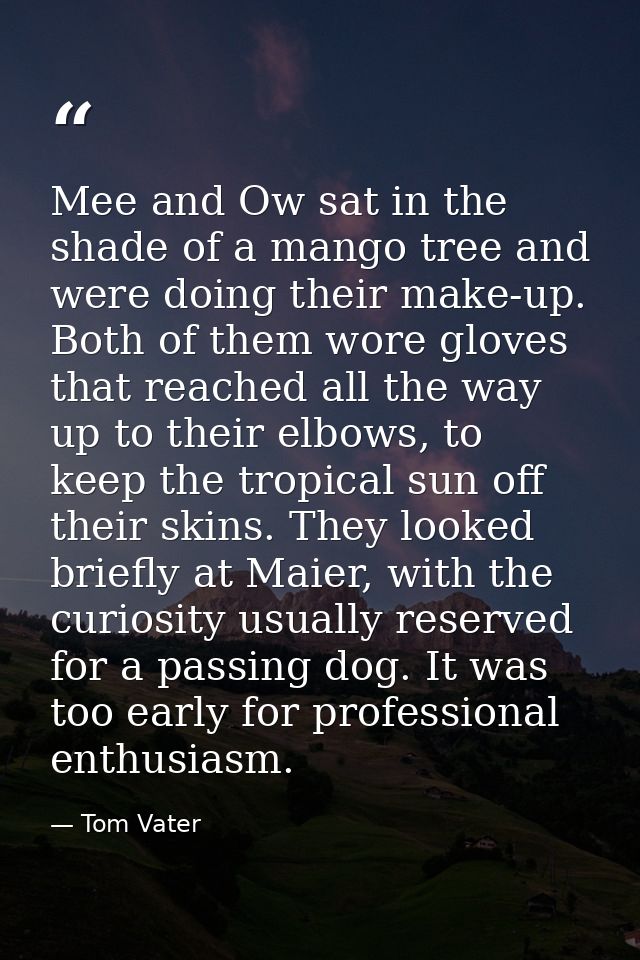 Mee and Ow sat in the shade of a mango tree and were doing their make-up. Both of them wore gloves that reached all the  — Tom Vater