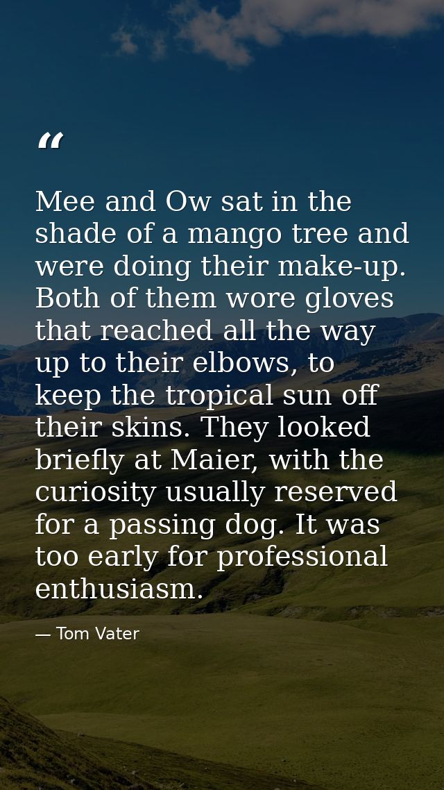 Mee and Ow sat in the shade of a mango tree and were doing their make-up. Both of them wore gloves that reached all the  — Tom Vater