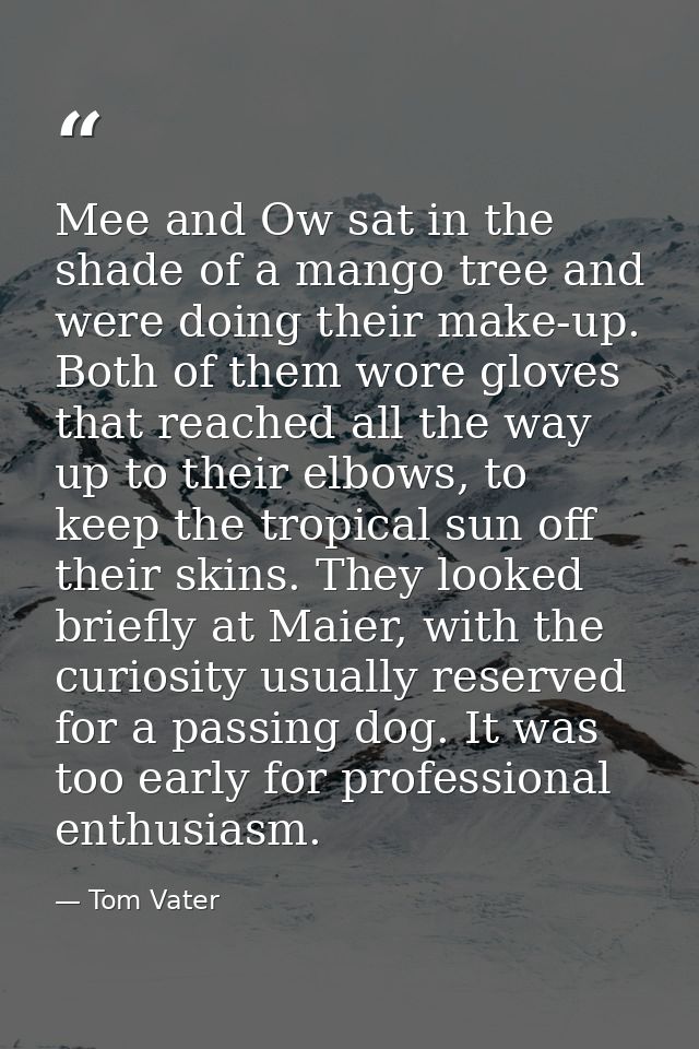 Mee and Ow sat in the shade of a mango tree and were doing their make-up. Both of them wore gloves that reached all the  — Tom Vater