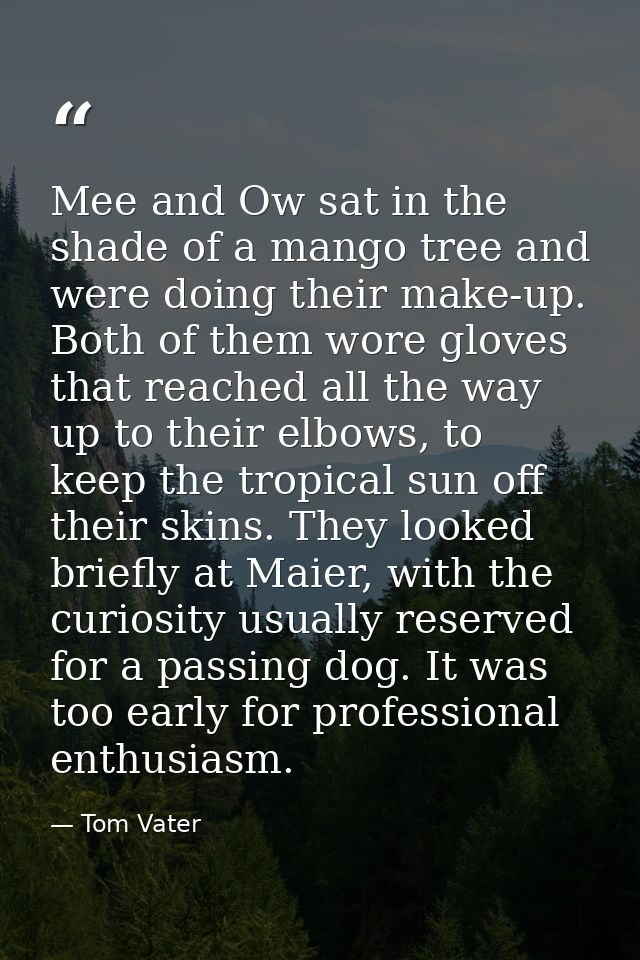 Mee and Ow sat in the shade of a mango tree and were doing their make-up. Both of them wore gloves that reached all the  — Tom Vater