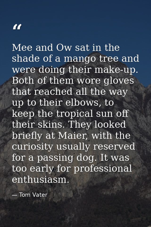 Mee and Ow sat in the shade of a mango tree and were doing their make-up. Both of them wore gloves that reached all the  — Tom Vater