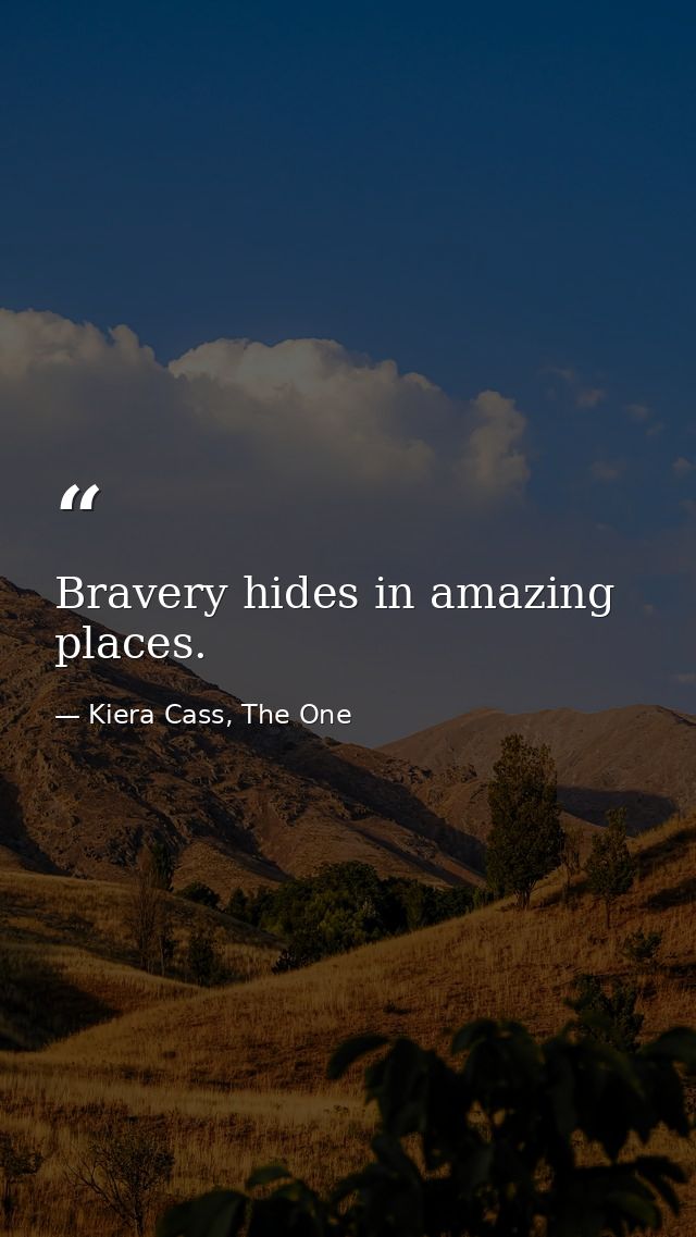 Bravery hides in amazing places. — Kiera Cass, The One