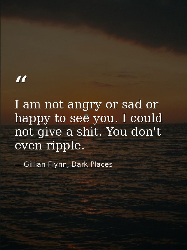 I am not angry or sad or happy to see you. I could not give a shit. You don't even ripple. — Gillian Flynn, Dark Places